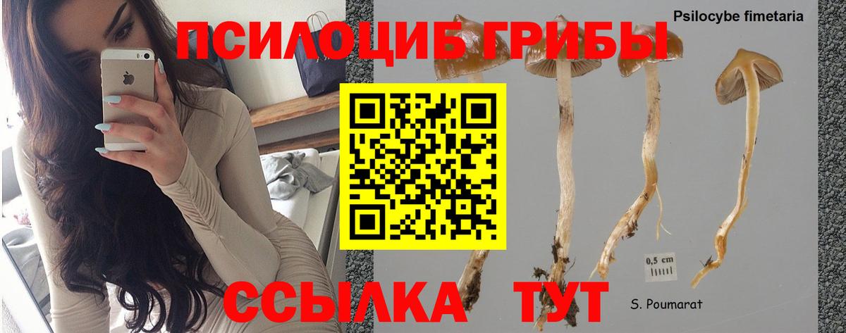 Псилоцибиновые грибы Magic Shrooms Строитель